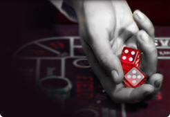 Casino Guide